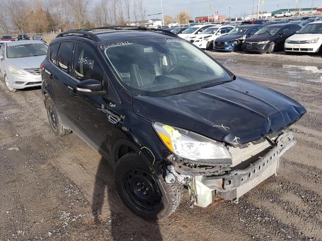 Ford Escape sel (2013)