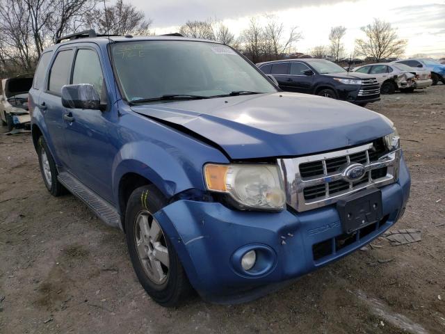 Ford Escape xlt (2010)