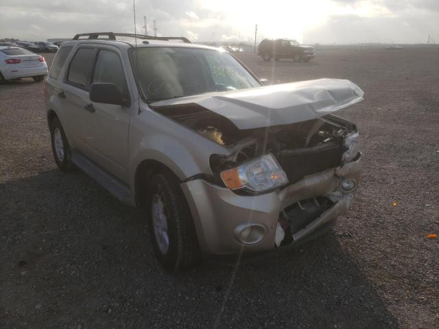 Ford Escape xlt (2010)