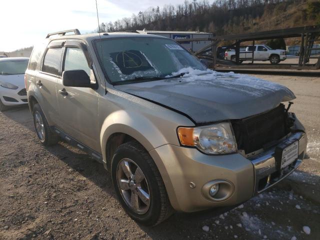 Ford Escape xlt (2011)