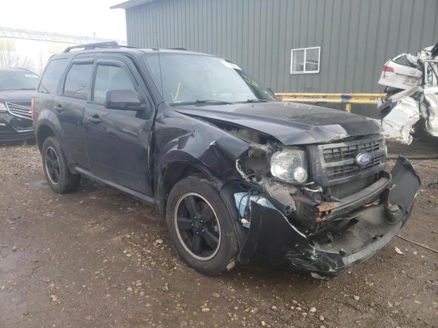 Ford Escape xlt (2011)