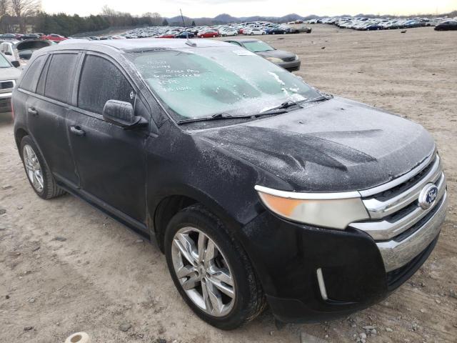Ford Edge (2012)