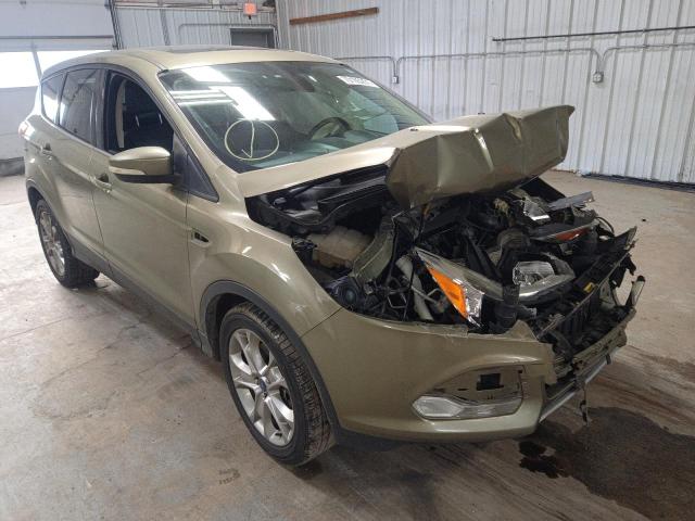 Ford Escape sel (2013)