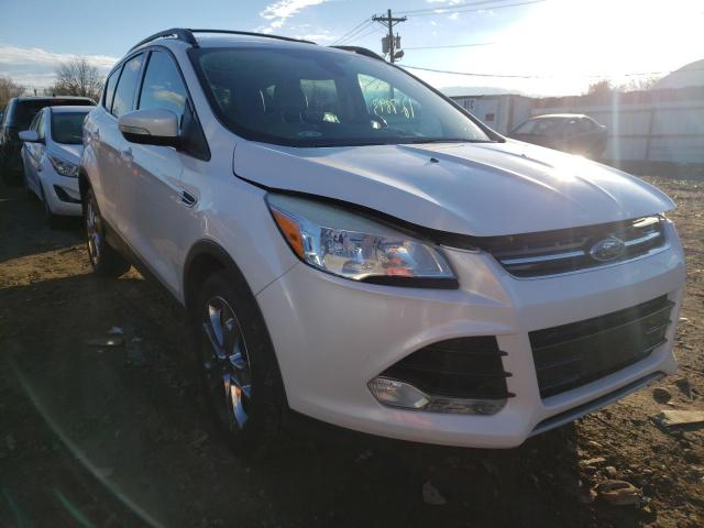 Ford Escape sel (2013)