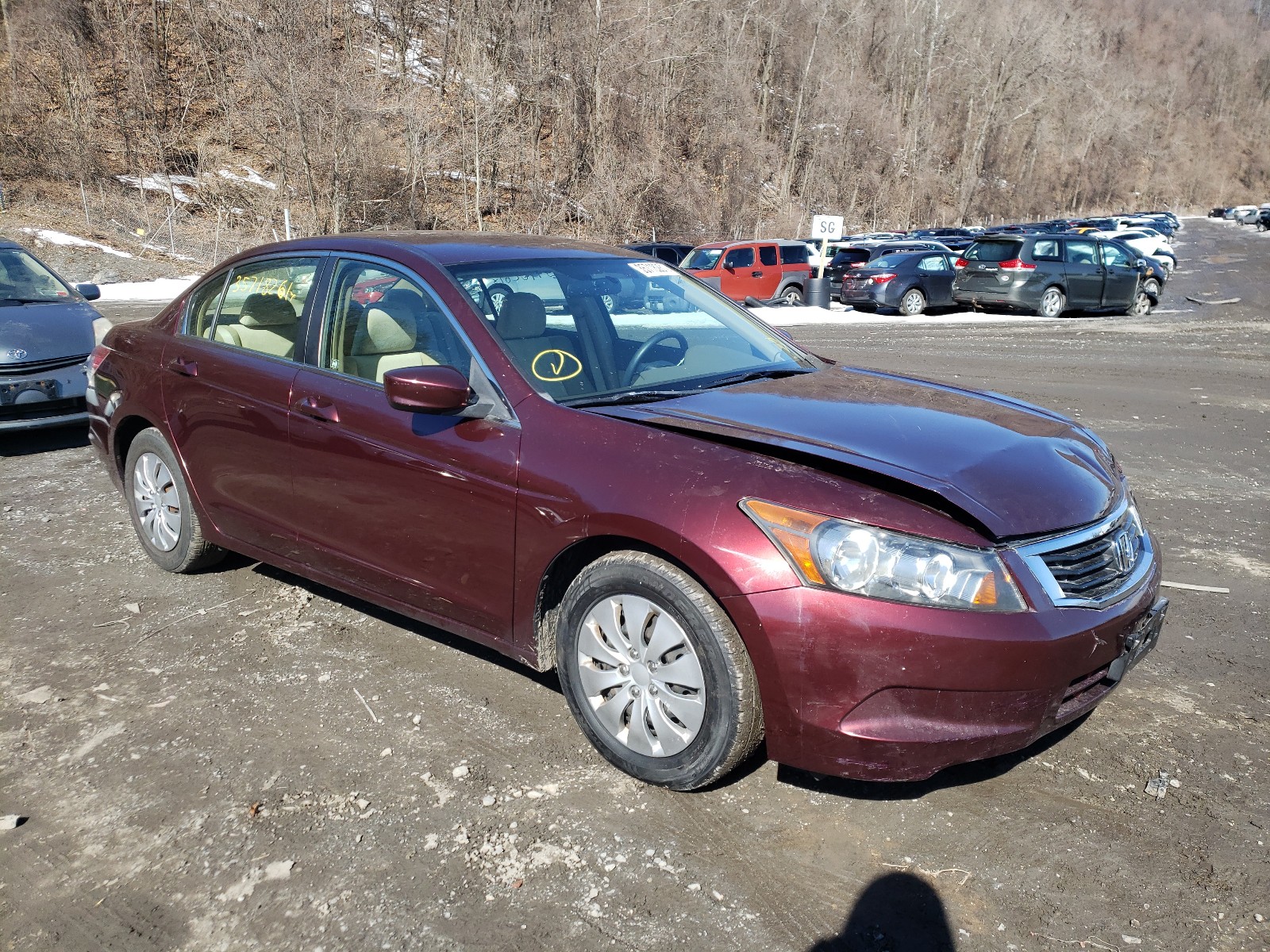 Honda Accord lx (2009)