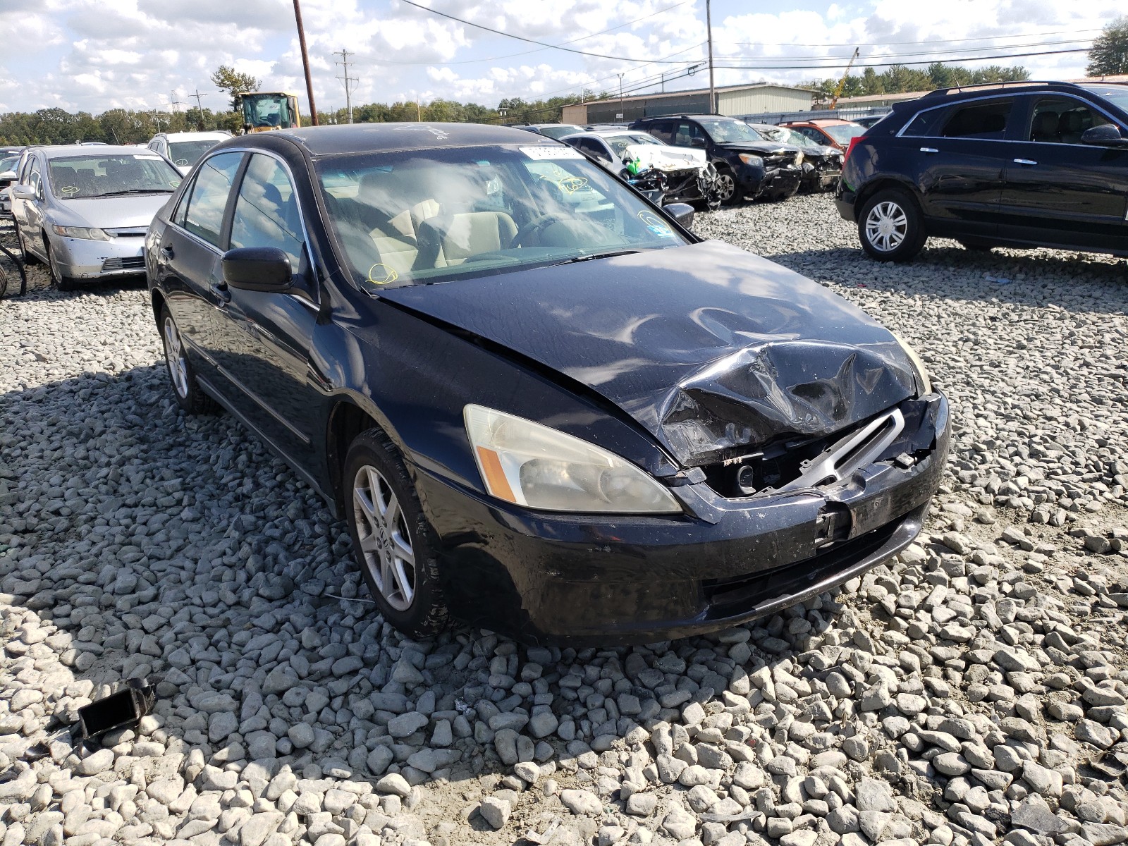 Honda Accord lx (2004)