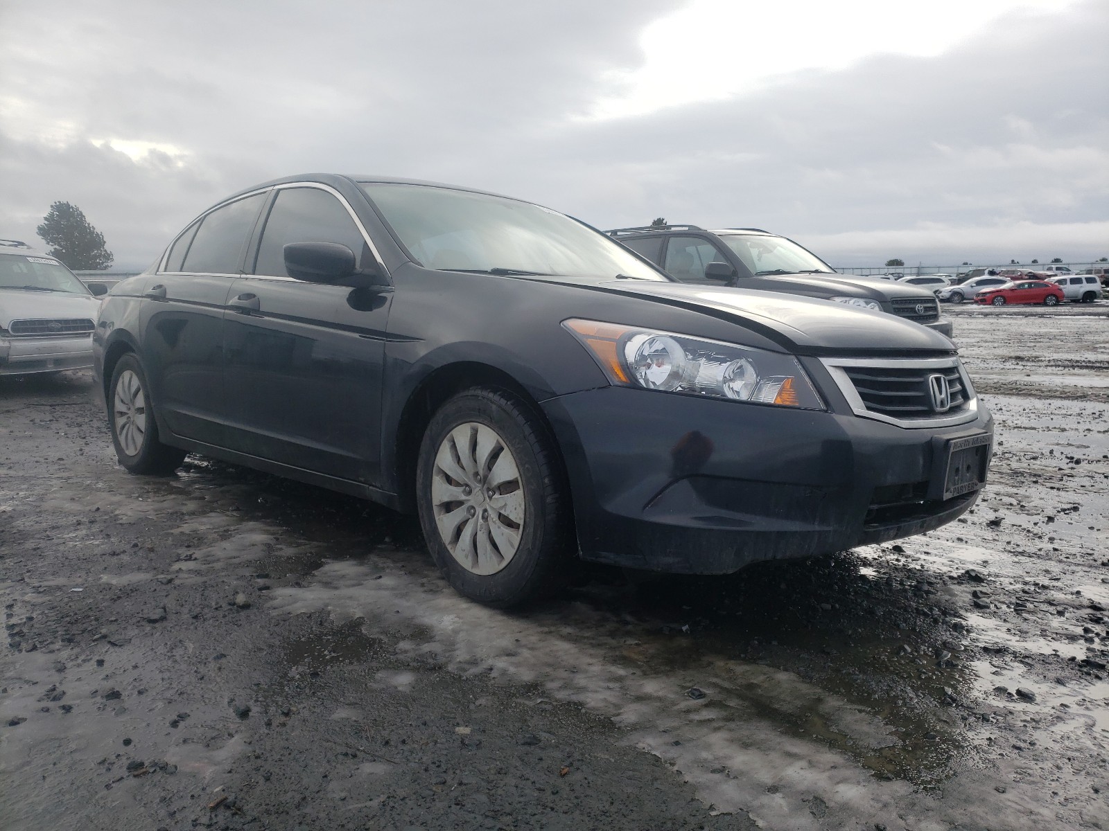 Honda Accord lx (2008)