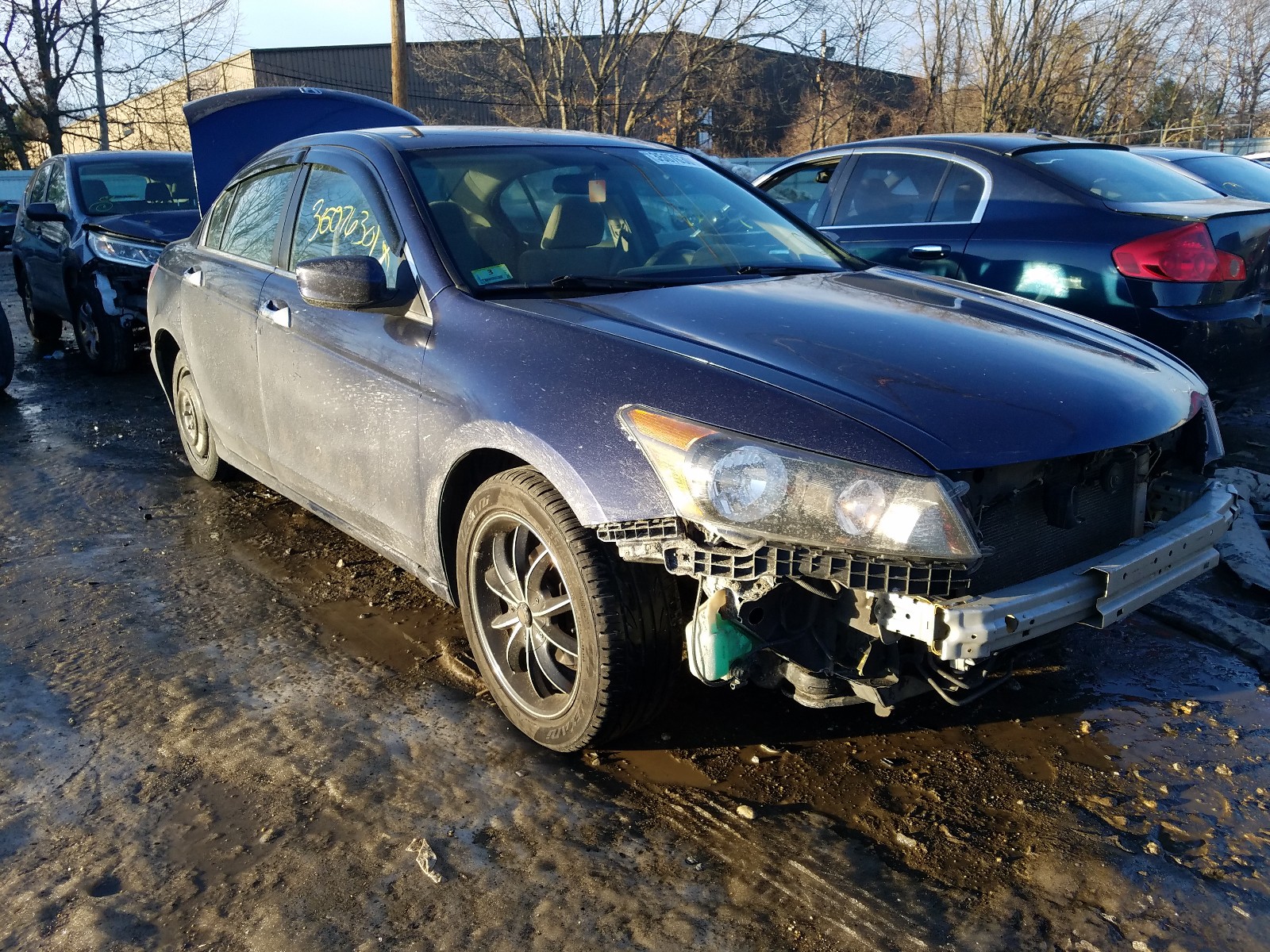 Honda Accord lx (2010)