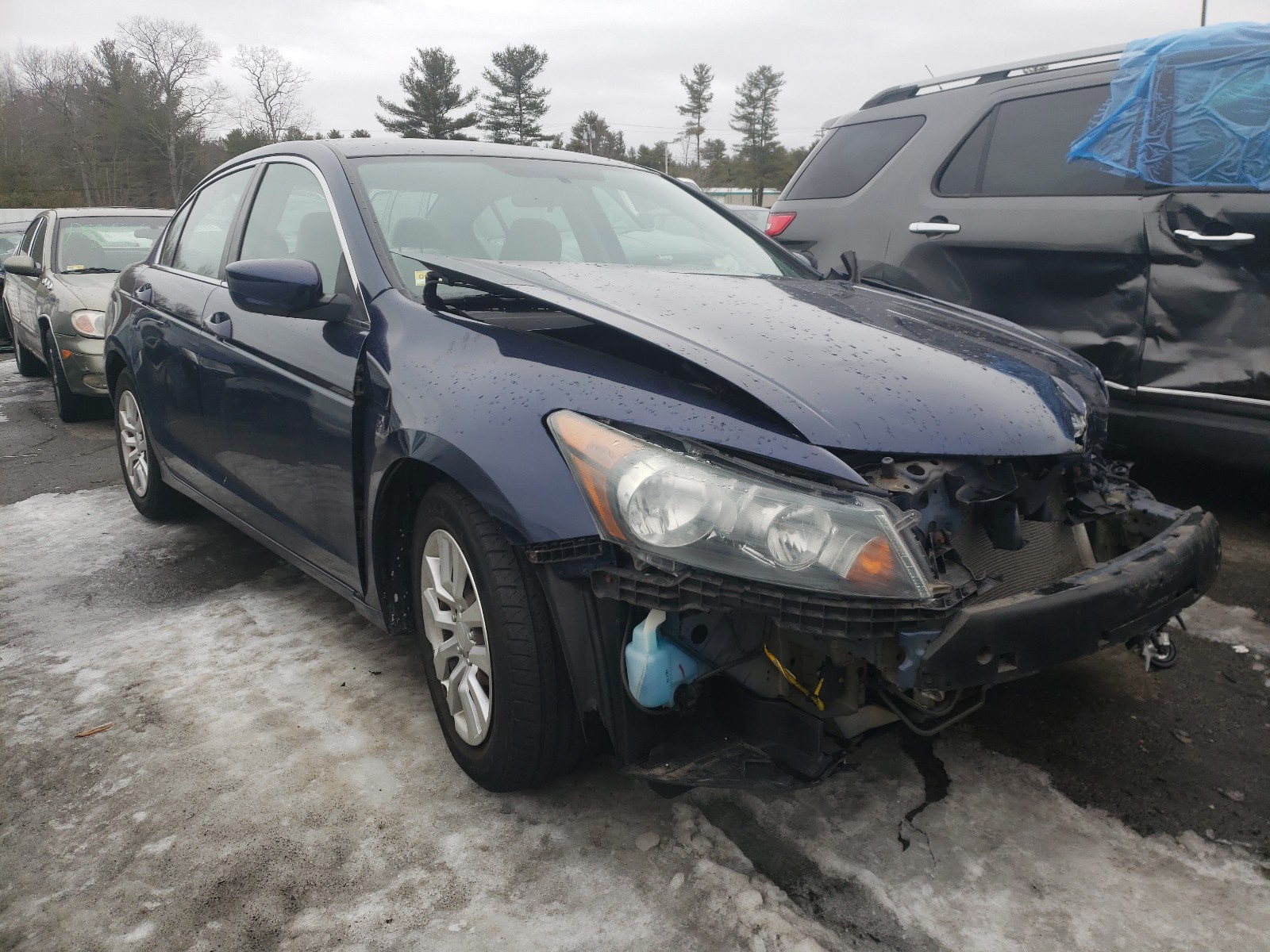 Honda Accord lx (2010)