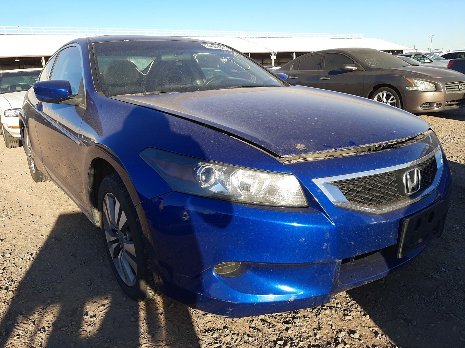 Honda Accord lx (2010)