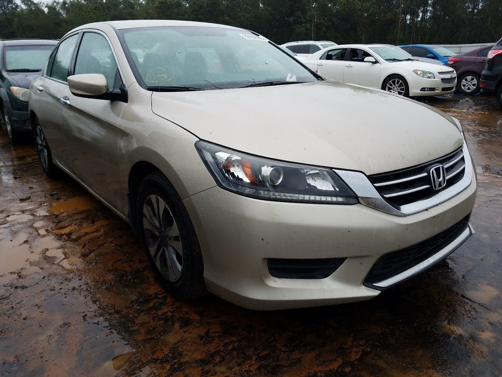 Honda Accord lx (2015)