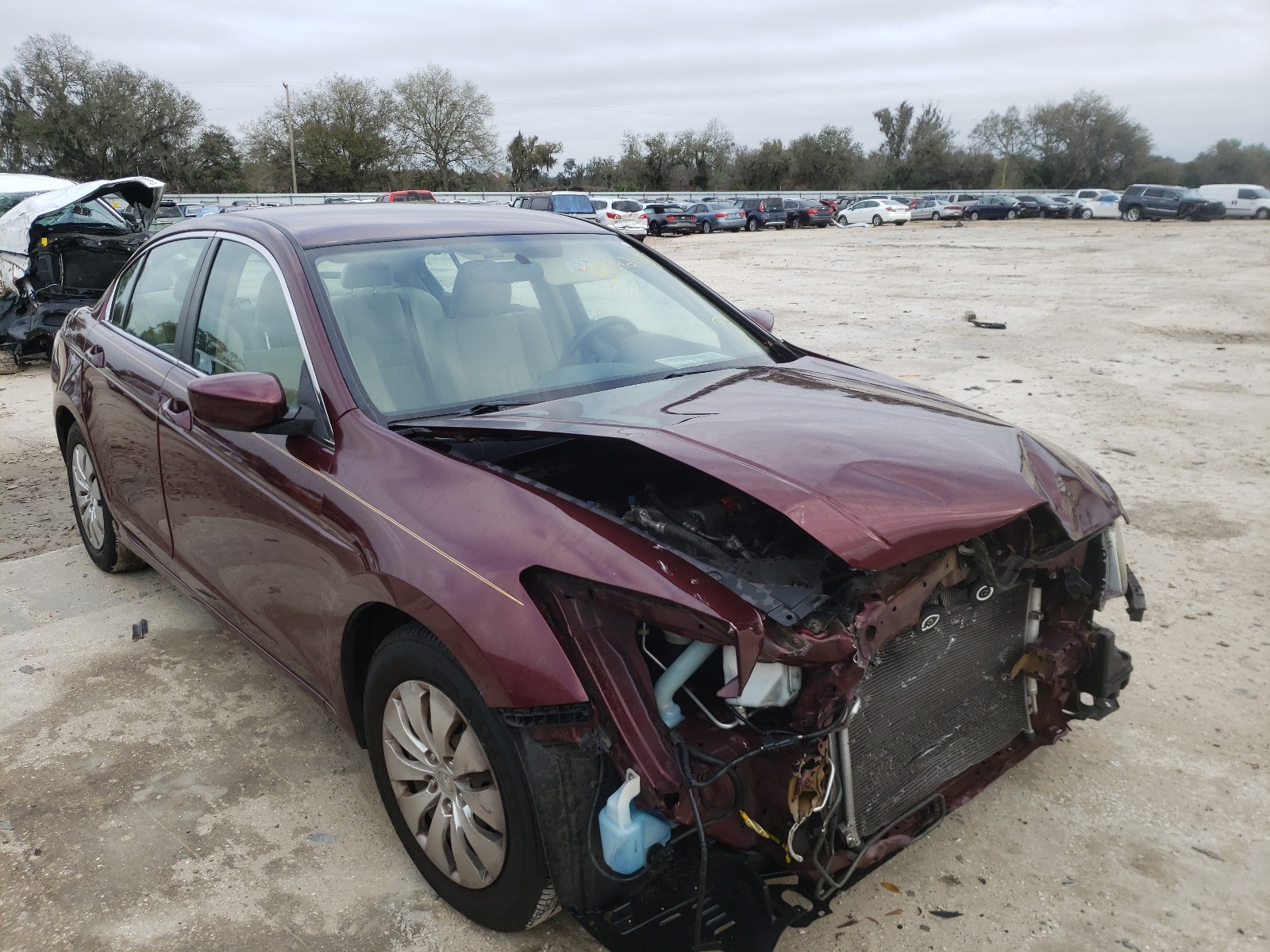 Honda Accord lx (2012)