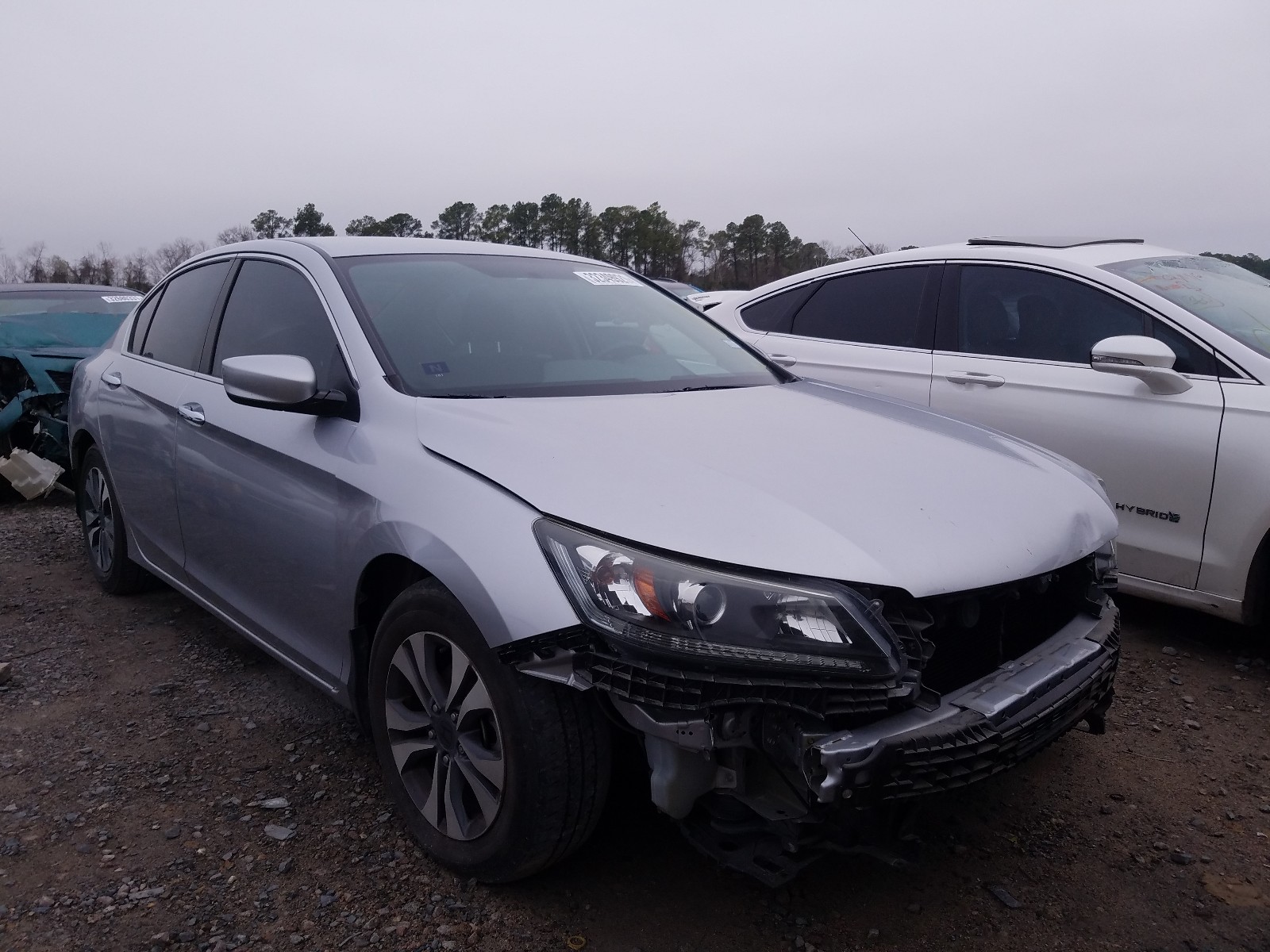 Honda Accord lx (2013)