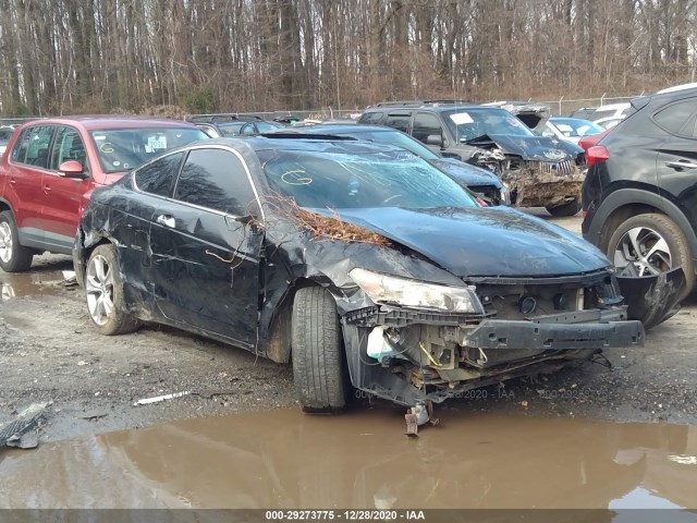 Honda Accord cpe (2012)