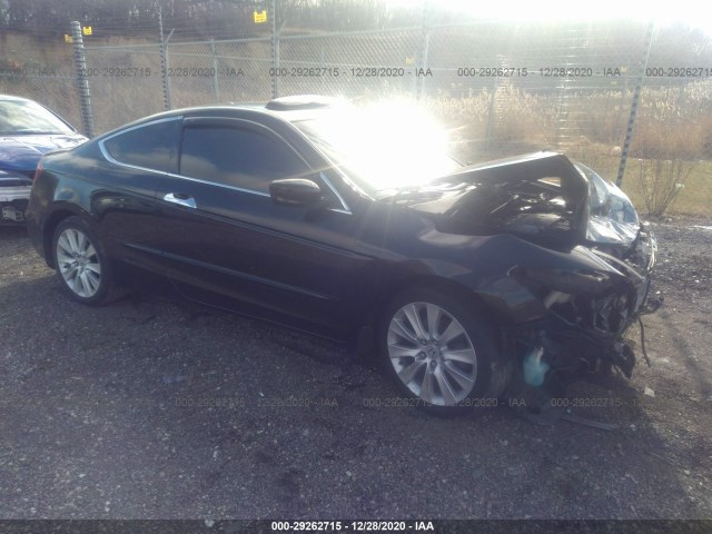 Honda Accord cpe (2010)