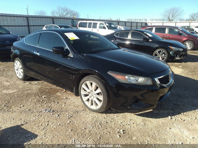 Honda Accord cpe (2010)