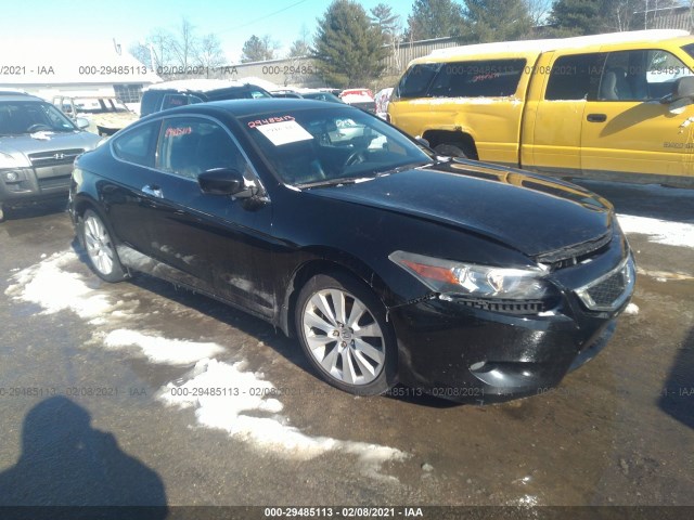 Honda Accord cpe (2010)