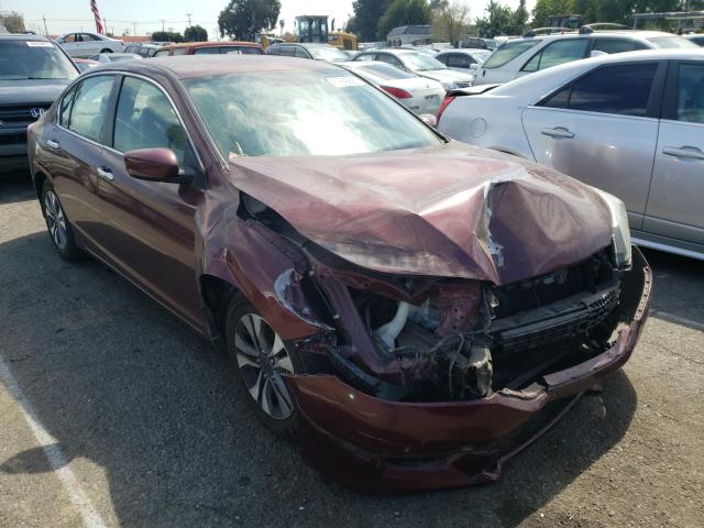 Honda Accord lx (2013)
