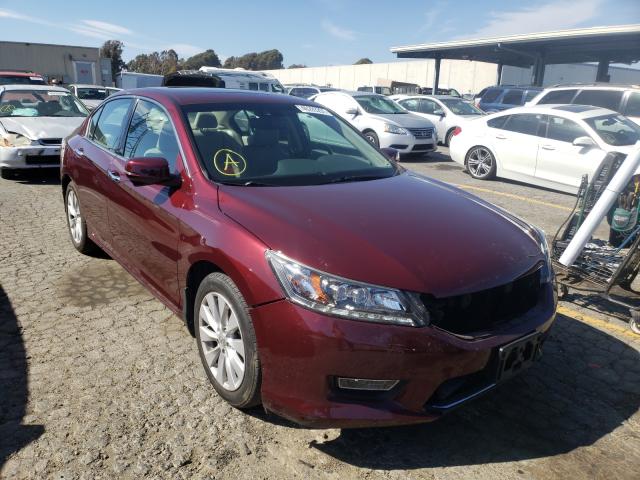 Honda Accord tou (2013)