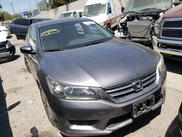 Honda Accord lx (2013)