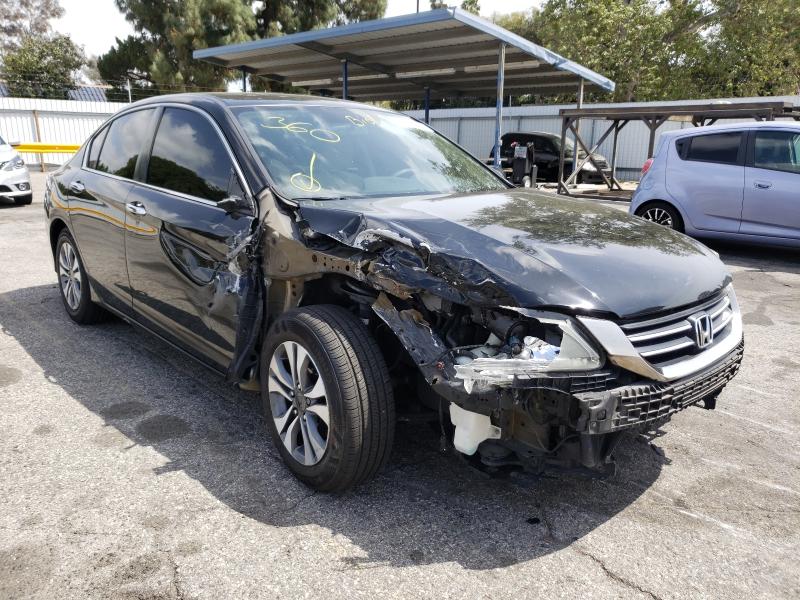Honda Accord lx (2013)