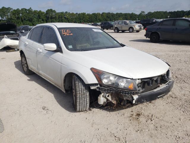 Honda Accord lx (2010)