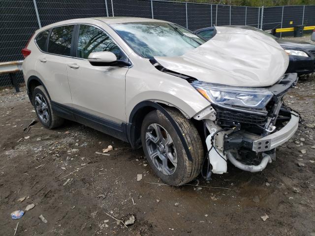 Honda Cr-v ex (2019)