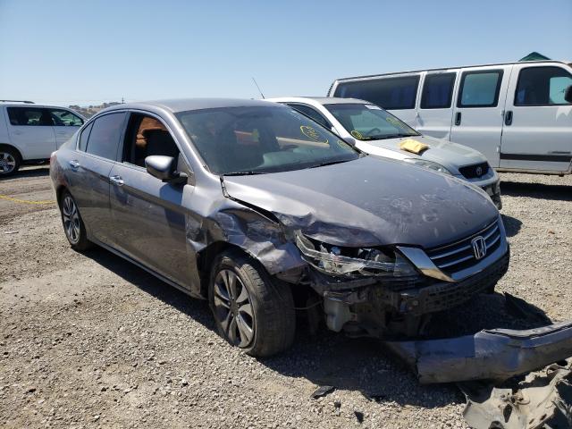 Honda Accord lx (2013)