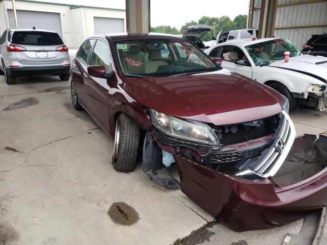 Honda Accord lx (2013)