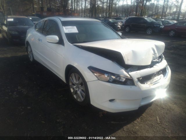 Honda Accord cpe (2010)