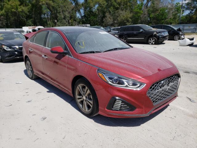 Hyundai Sonata lim (2019)