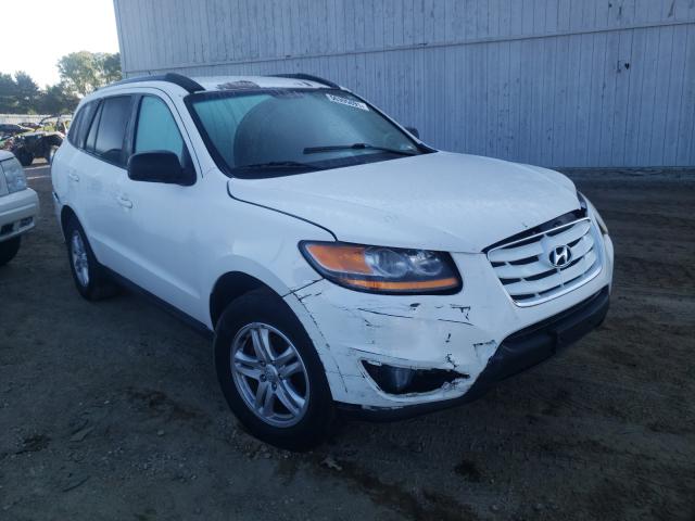 Hyundai Santa fe g (2010)