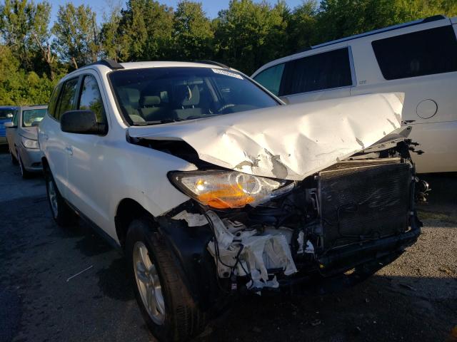 Hyundai Santa fe g (2010)