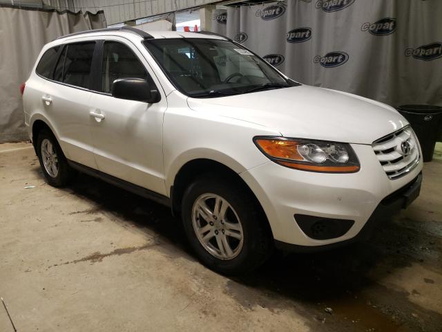 Hyundai Santa fe g (2010)