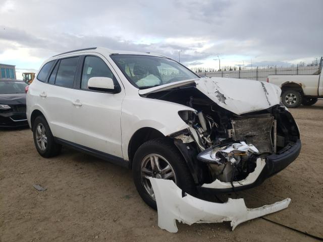 Hyundai Santa fe g (2010)
