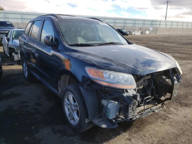 Hyundai Santa fe g (2010)