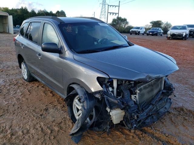 Hyundai Santa fe g (2010)