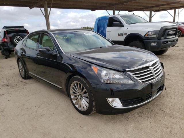 Hyundai Equus sign (2014)