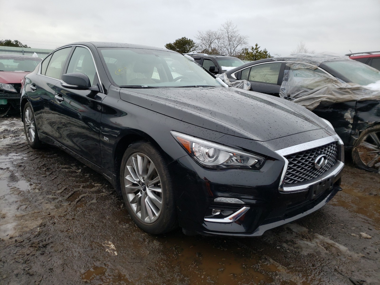 Infiniti Q50 luxe (2019)