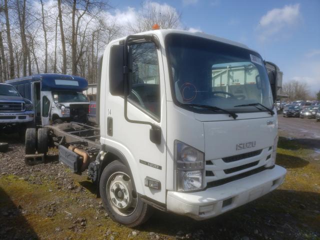 Isuzu Nqr (2017)
