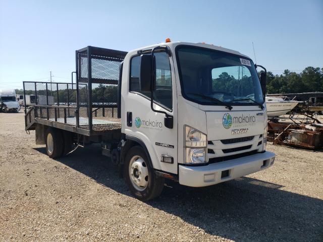 Isuzu Npr hd (2020)