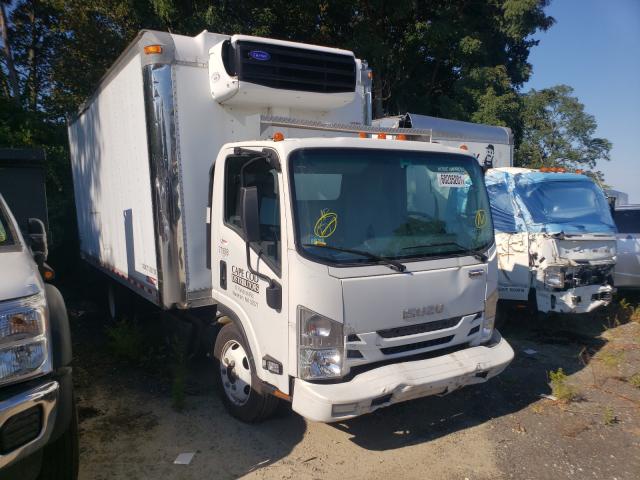 Isuzu Nqr (2018)