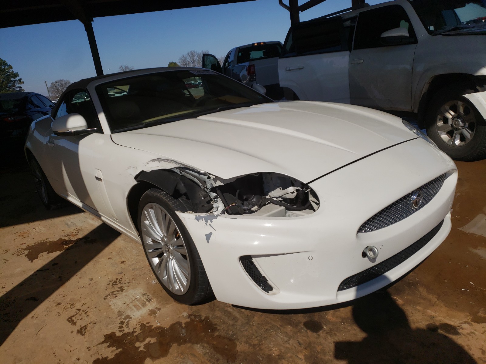Jaguar Xk portfol (2010)