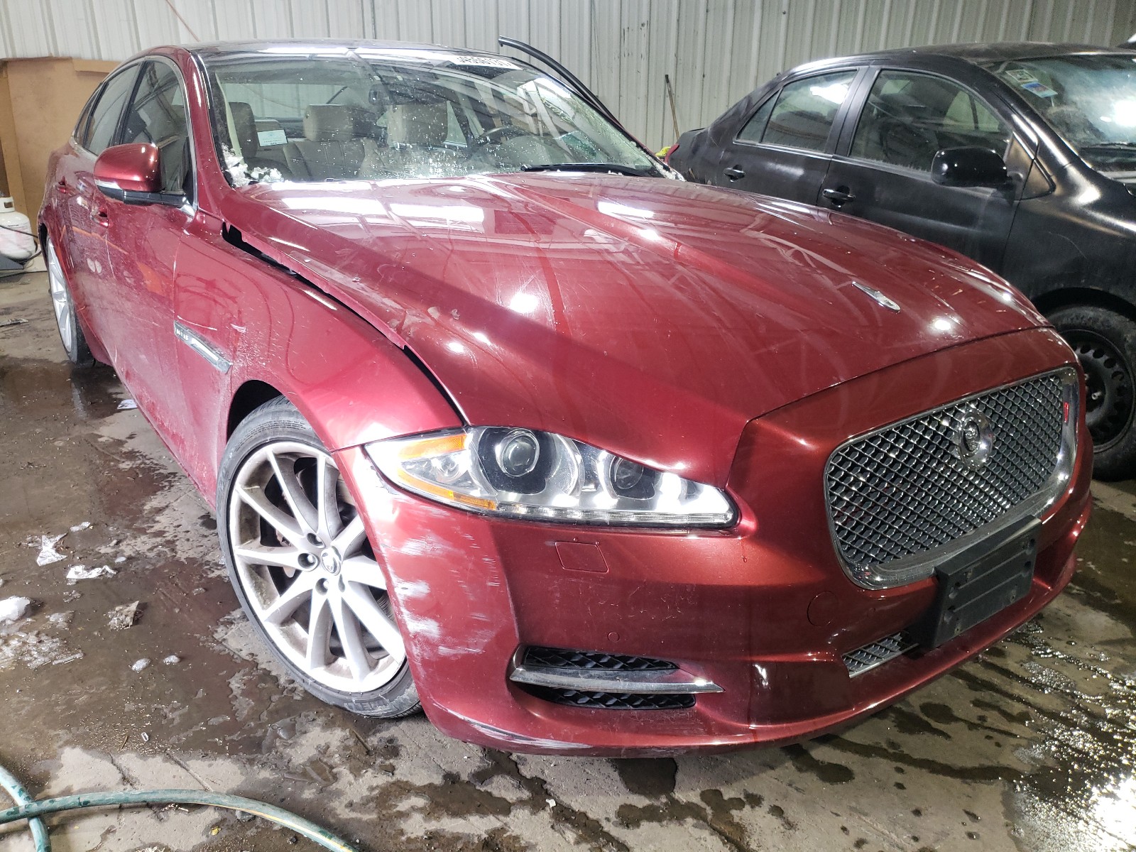 Jaguar Xj (2013)