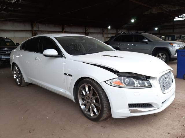 Jaguar Xf superch (2013)