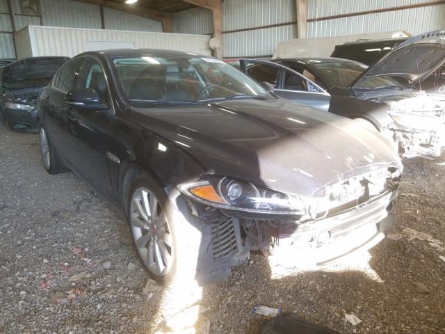 Jaguar Xf (2014)
