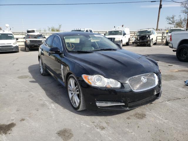 Jaguar Xf superch (2010)