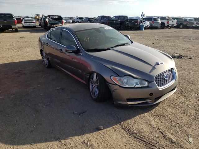 Jaguar Xf superch (2010)