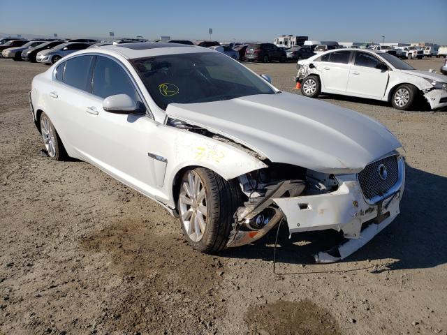 Jaguar Xf (2013)