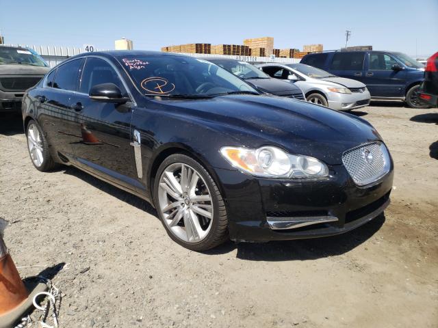Jaguar Xf superch (2010)